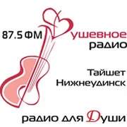 Душевное Тайшет